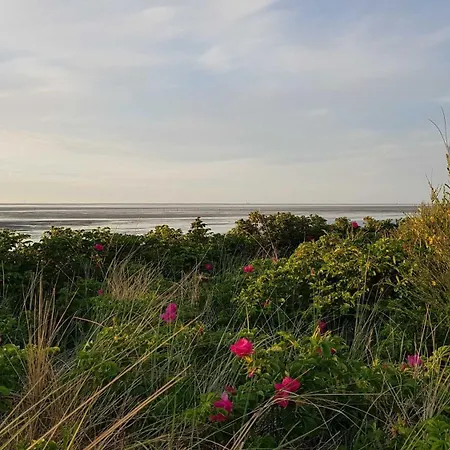 Apartment Residenz Atlantic Mit Hallenbad Und Sauna Cuxhaven